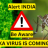 zika virus